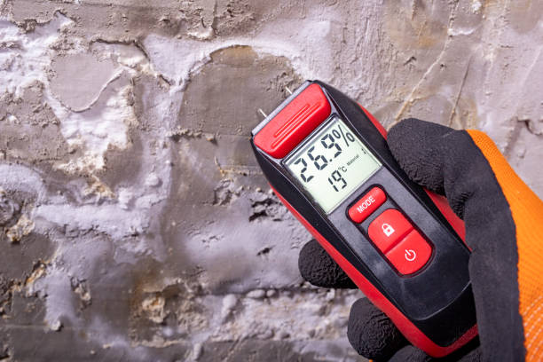  Bardmoor, FL Mold Removal Pros